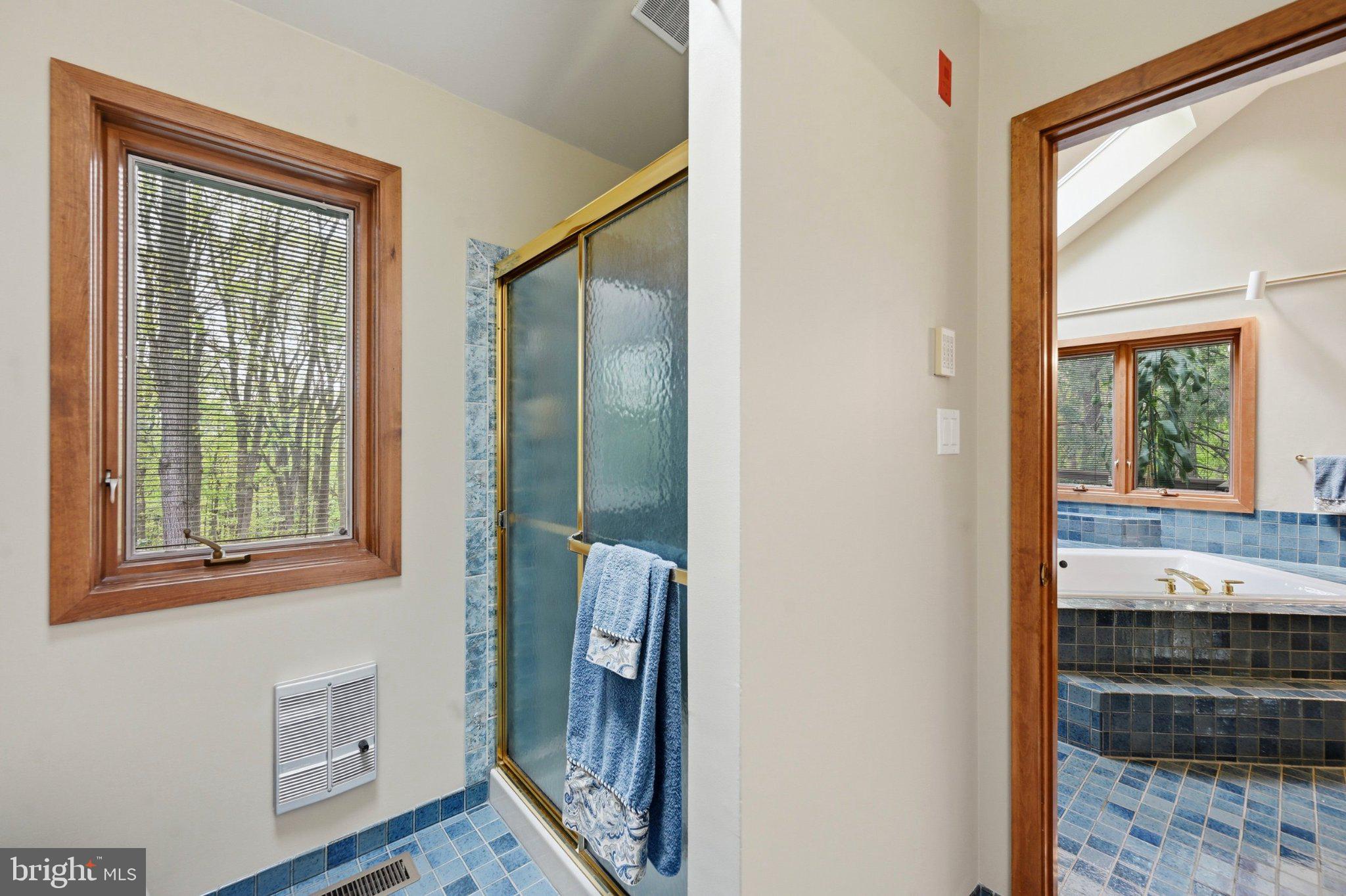 1168 Skelp Level Road Downingtown, PA 19335 - Photo 30 of 80 Serene bathroom with natural light.