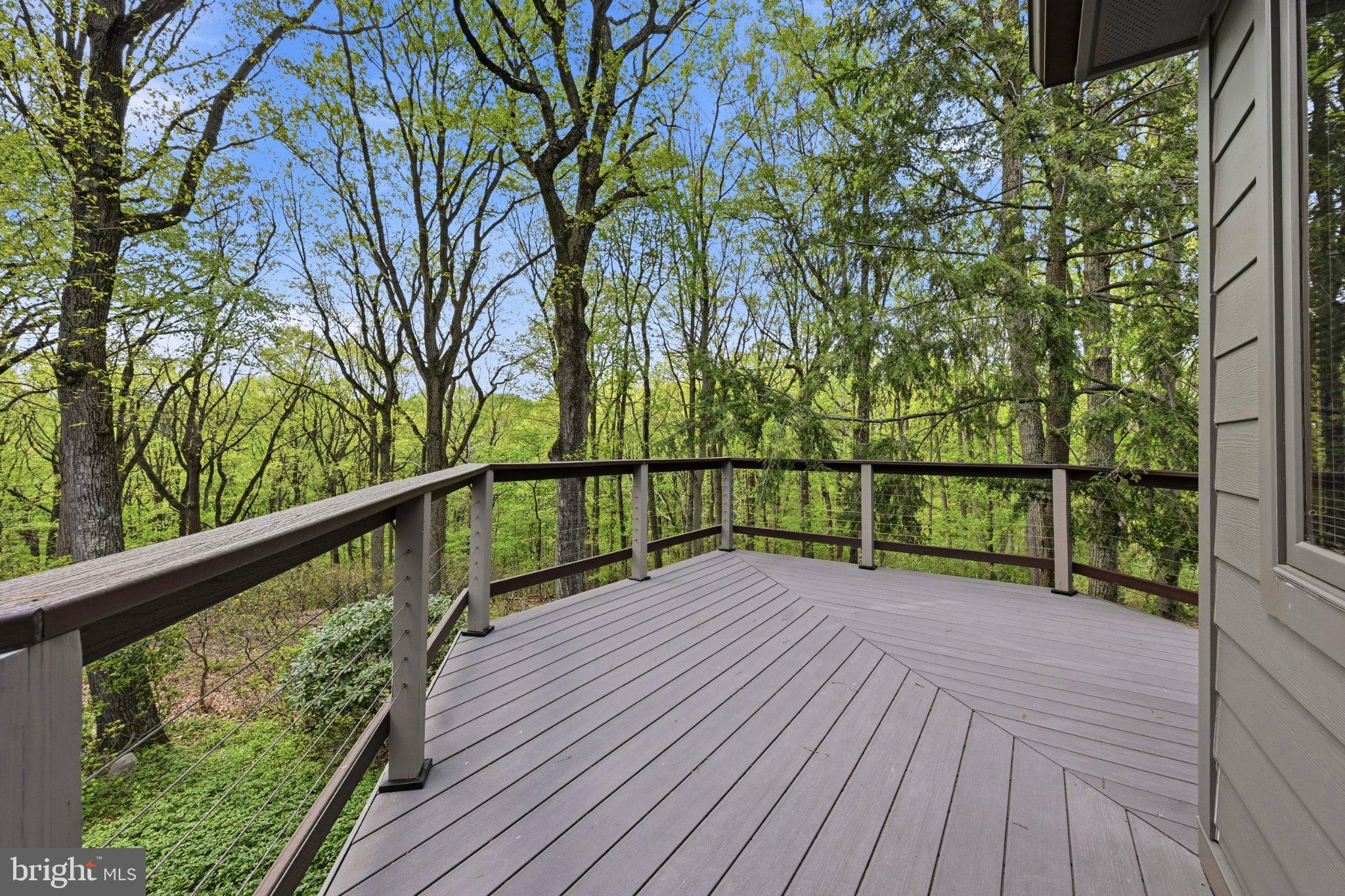 1168 Skelp Level Road Downingtown, PA 19335 - Photo 32 of 80 Serene deck amidst lush greenery.