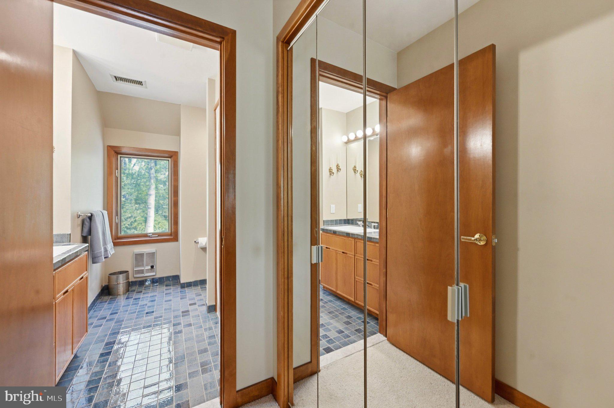 1168 Skelp Level Road Downingtown, PA 19335 - Photo 44 of 80 Elegant bathroom with natural light.