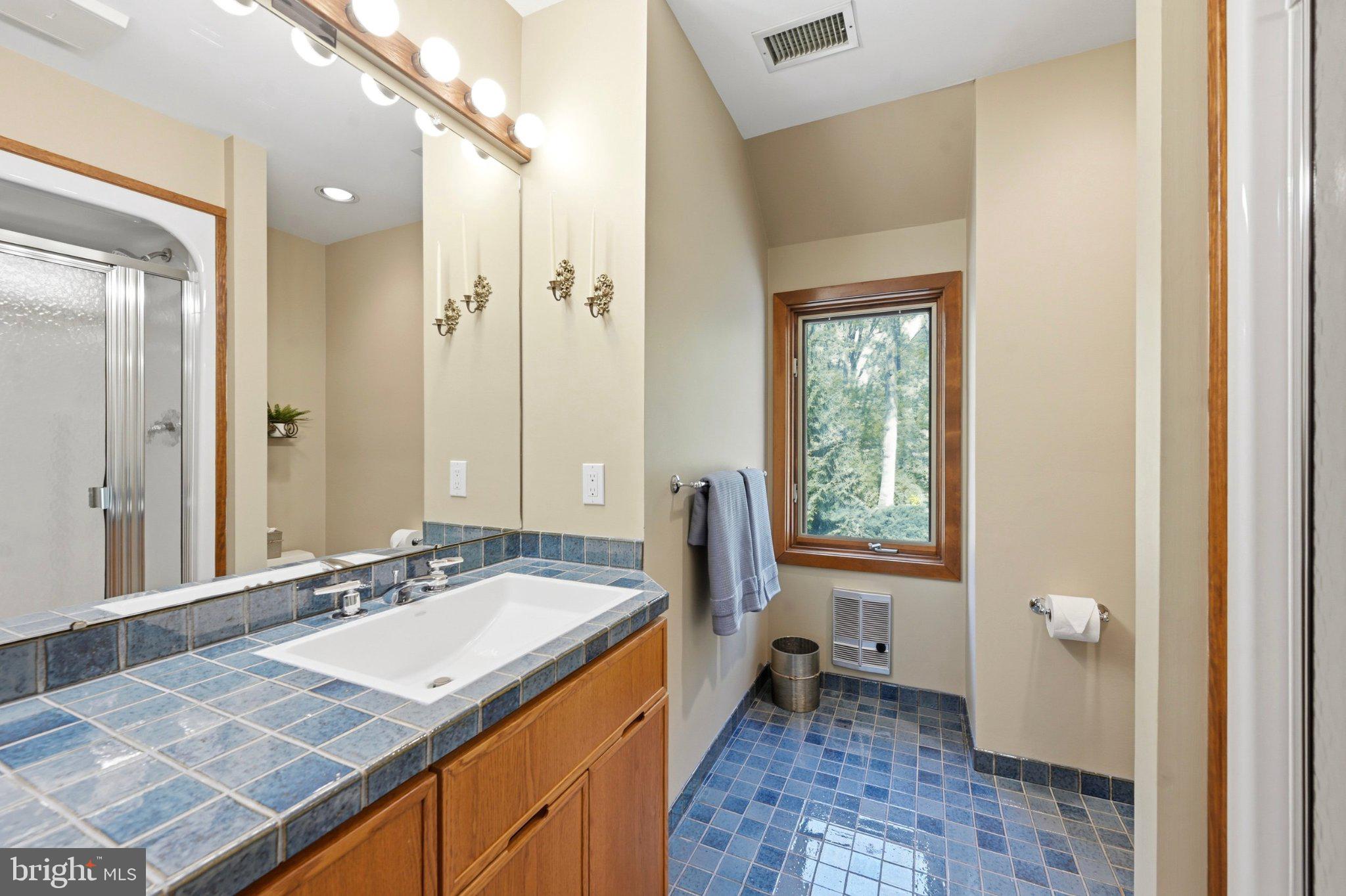 1168 Skelp Level Road Downingtown, PA 19335 - Photo 45 of 80 Serene bathroom with natural light.