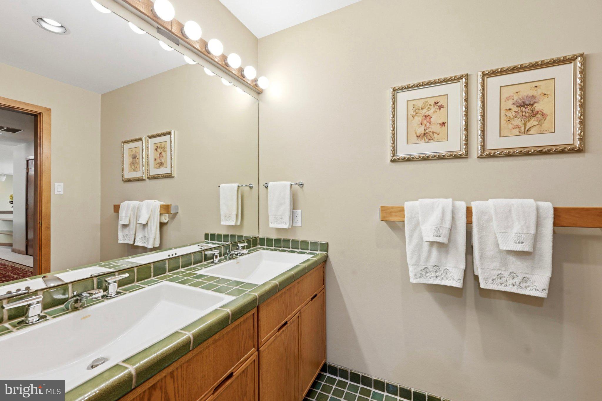 1168 Skelp Level Road Downingtown, PA 19335 - Photo 46 of 80 Elegant dual-sink bathroom retreat.