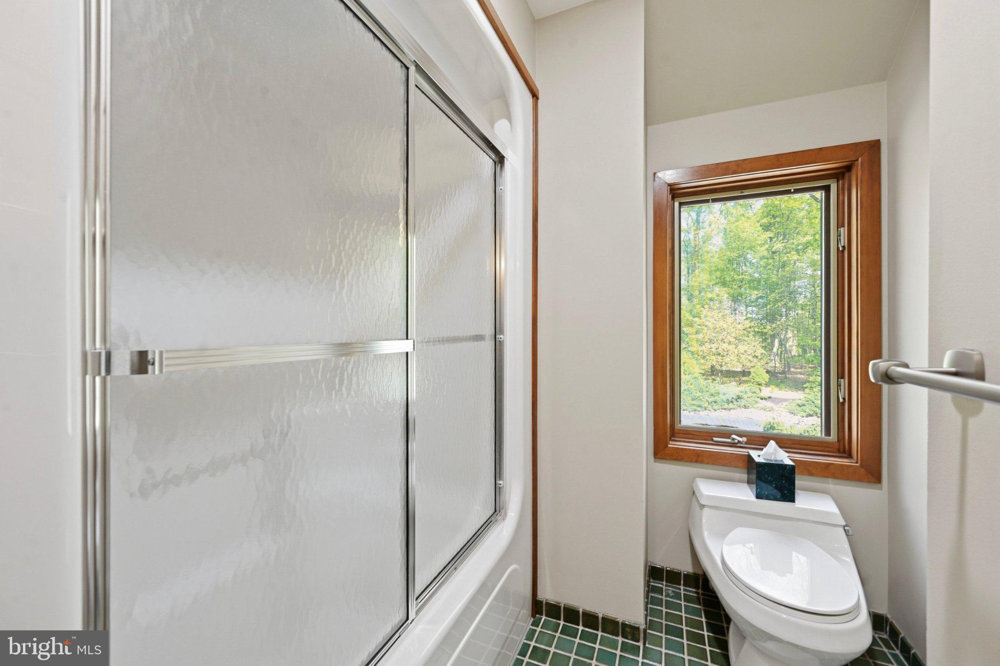 1168 Skelp Level Road Downingtown, PA 19335 - Photo 47 of 80 Bright bathroom with scenic views.