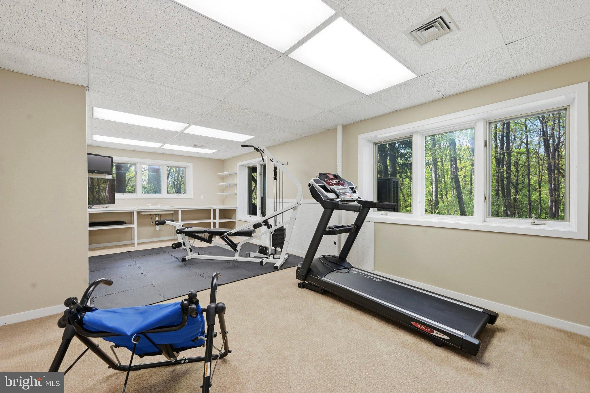 1168 Skelp Level Road Downingtown, PA 19335 - Photo 59 of 80 Bright and airy home gym retreat.