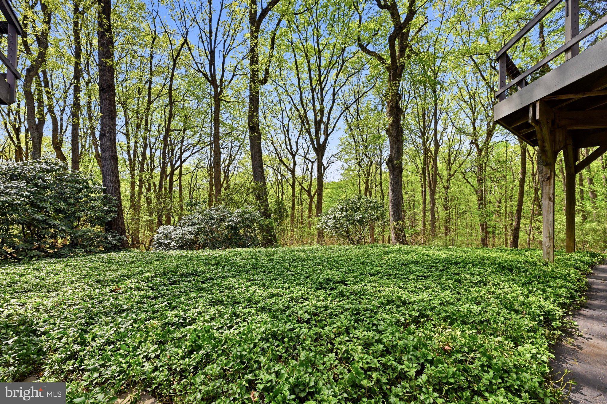 1168 Skelp Level Road Downingtown, PA 19335 - Photo 75 of 80 Serene woodland retreat awaits you.