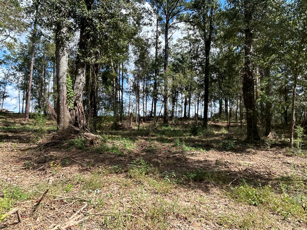 20.33-ac Sewell Road Dothan, AL 36301 - Photo 26 of 36