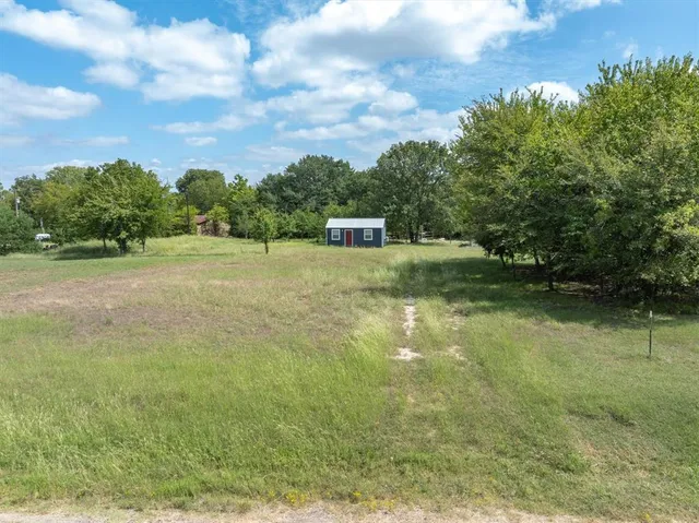 a view of a field with trees in the background