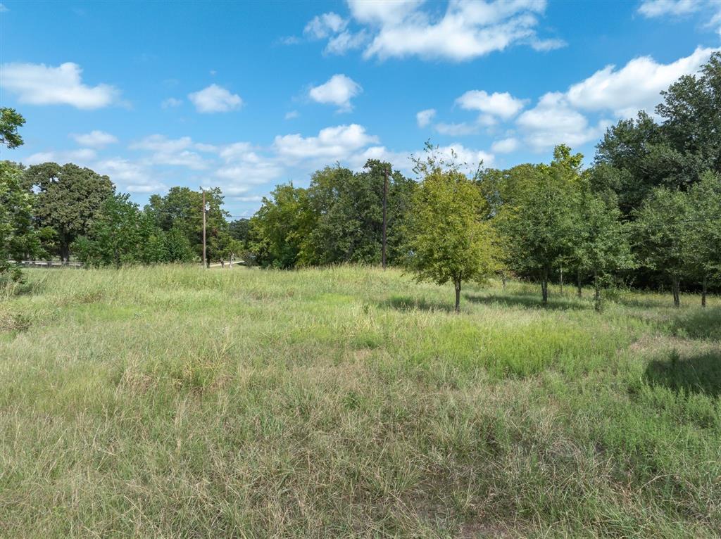 4400 County Road 3706 Wills Point, TX 75169 - Photo 18 of 18 a view of a green field with lots of bushes