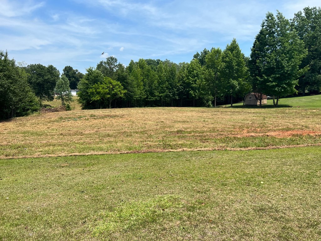 0 Hanover Road Abbeville, SC 29620 - Photo 2 of 4 Gallery Image 2
