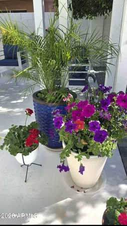 front view of a house with a street