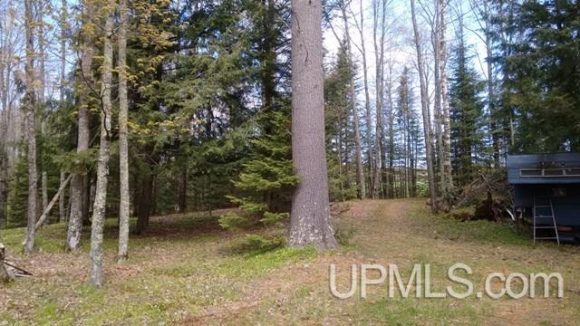 Tbd Clement Road Saxon, WI 54559 - Photo 29 of 34