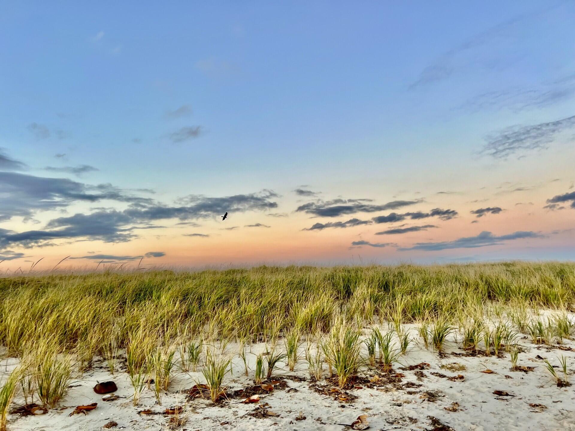 16 Beach View Road West Dennis, MA 02670 - Photo 65 of 73 16 Beach View_04