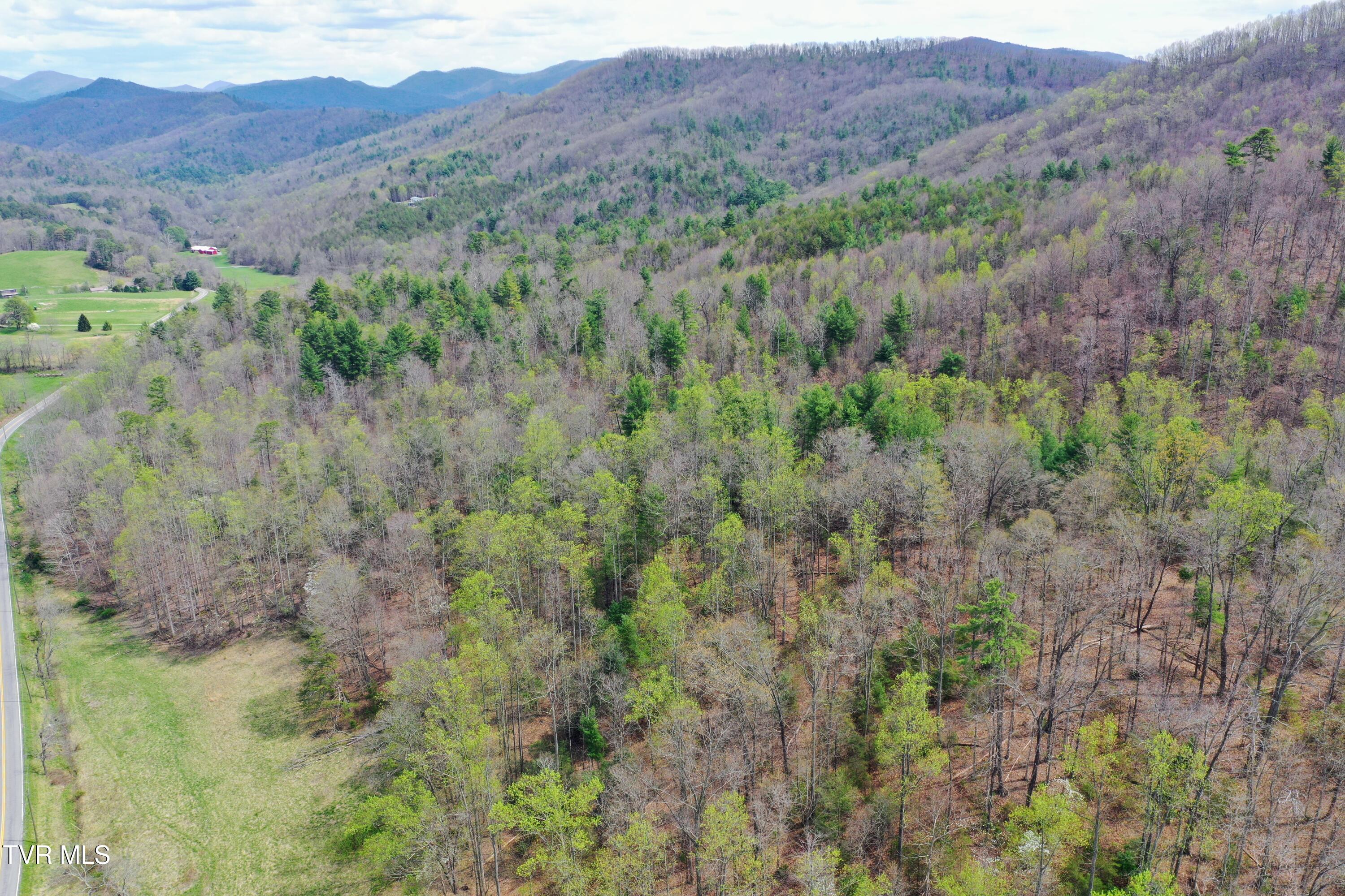 194-ac Houston Valley Road Greeneville, TN 37743 - Photo 12 of 92 IMG_013