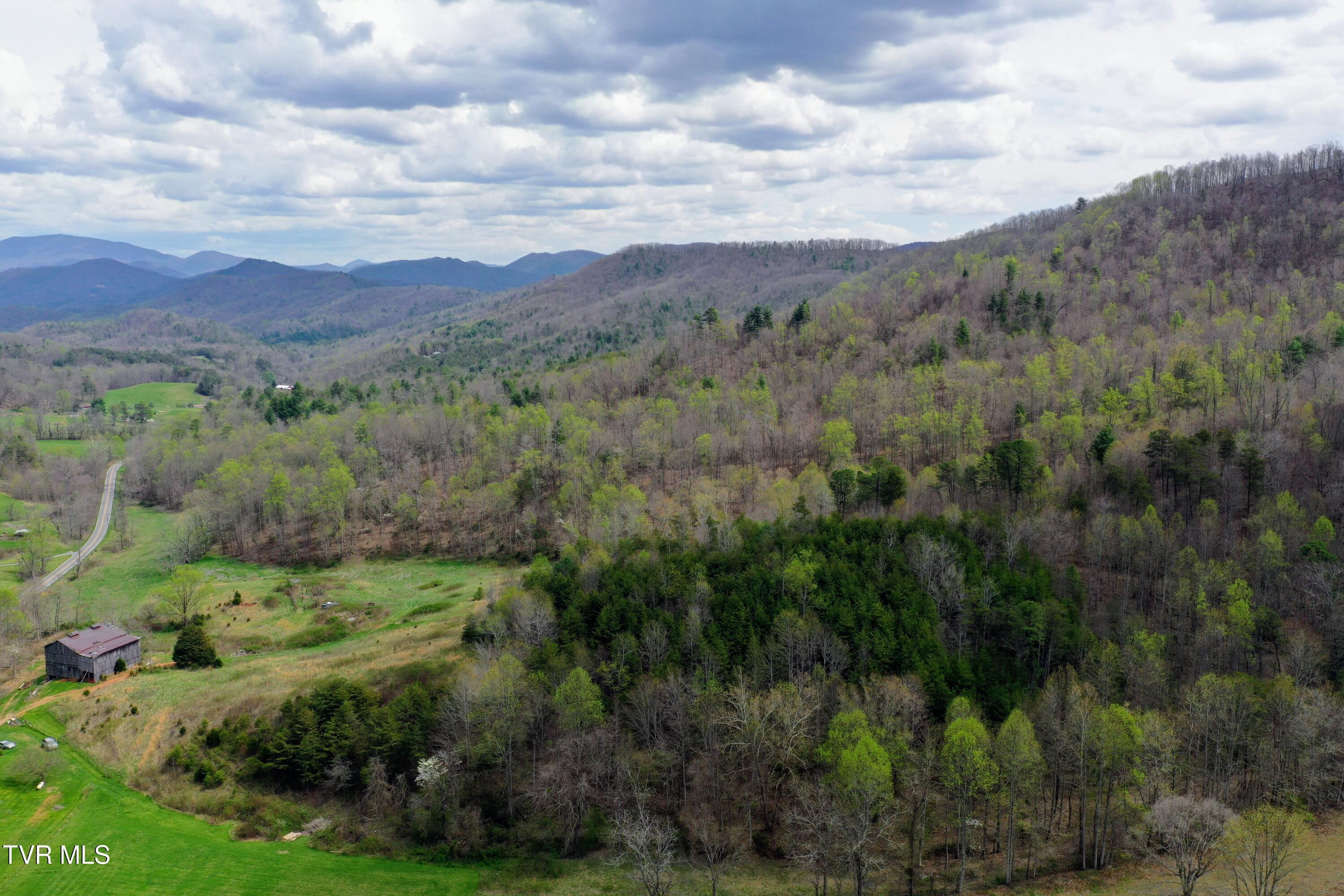194-ac Houston Valley Road Greeneville, TN 37743 - Photo 13 of 92 IMG_014