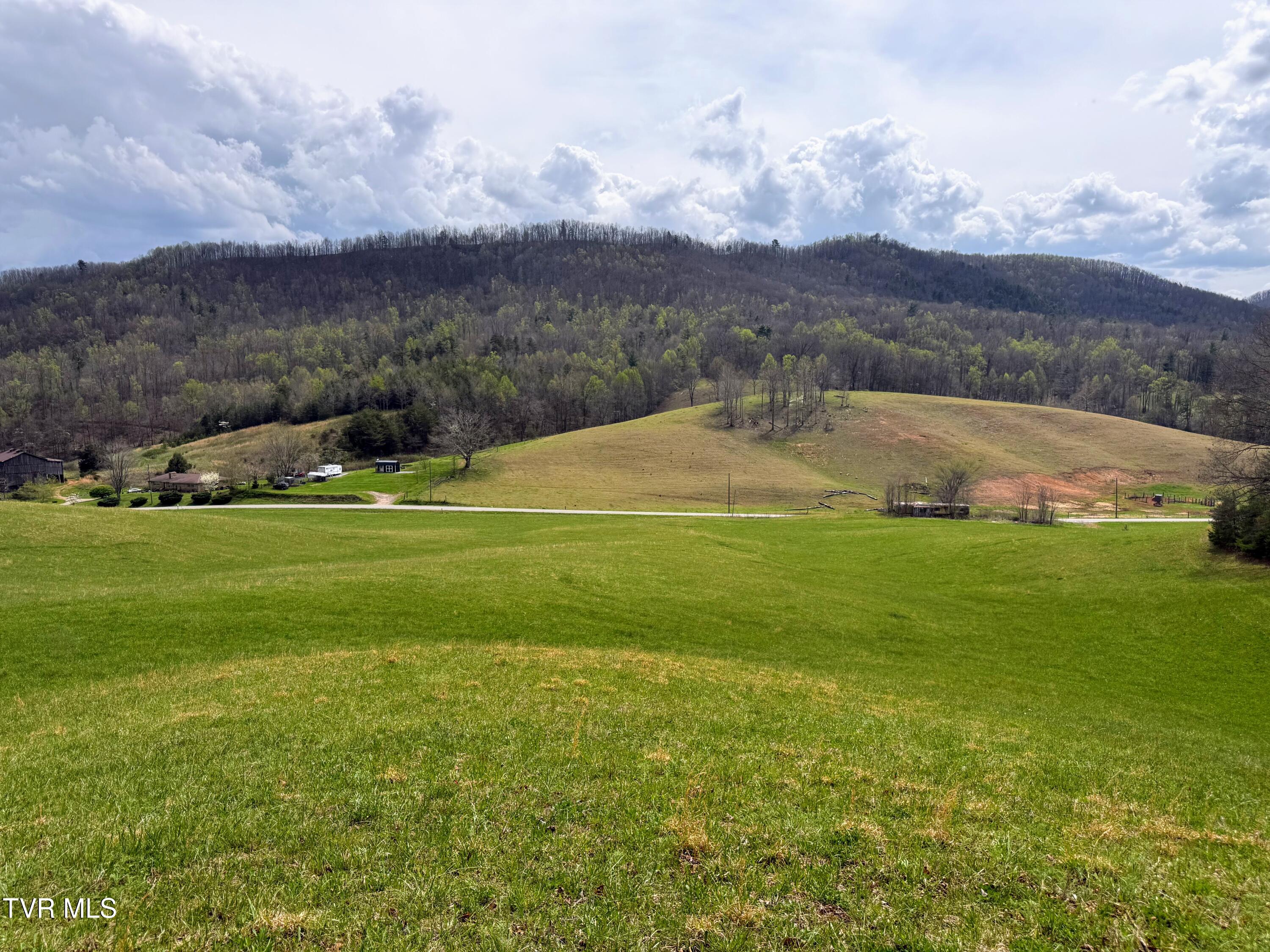 194-ac Houston Valley Road Greeneville, TN 37743 - Photo 21 of 92 IMG_022