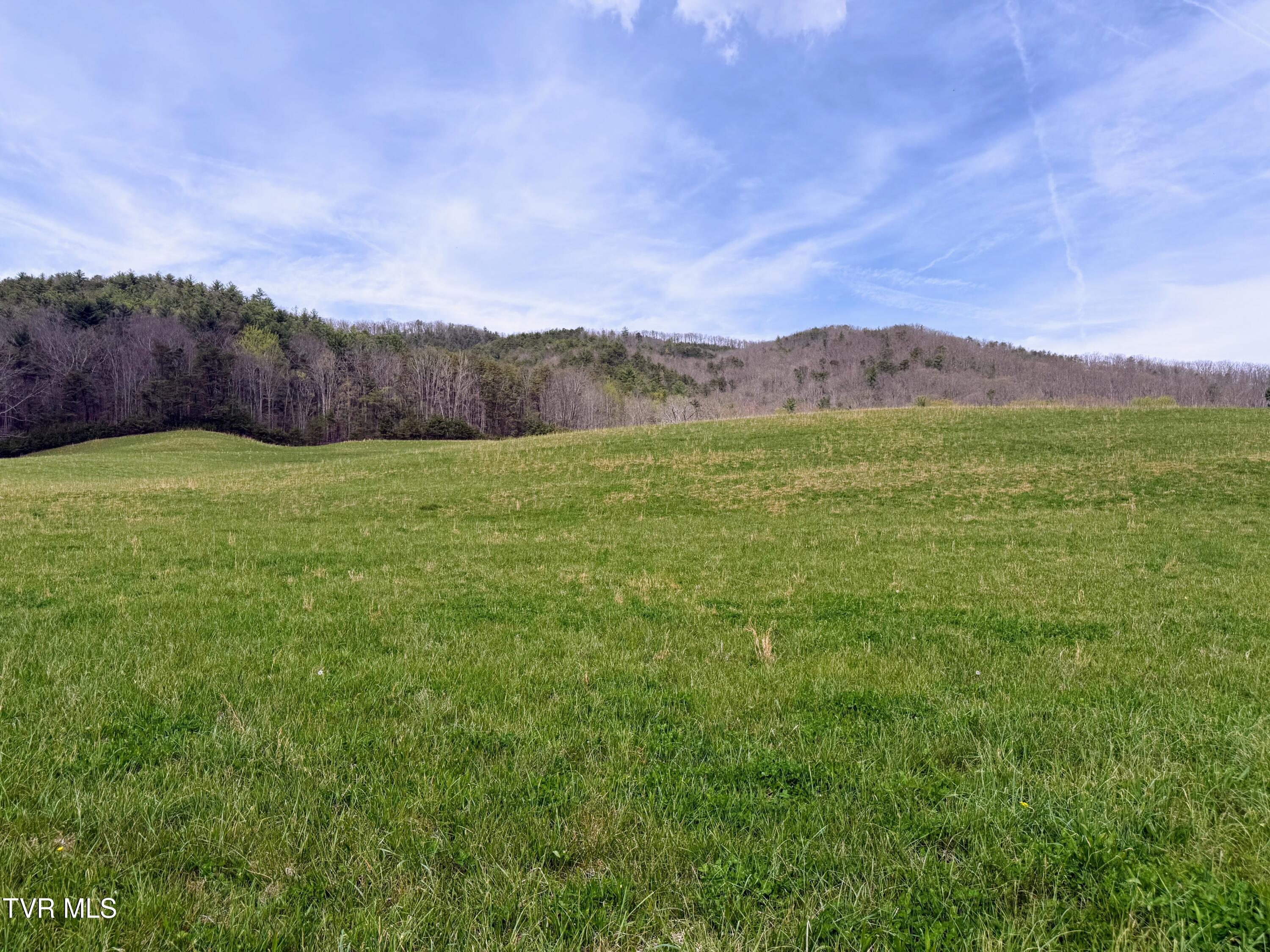 194-ac Houston Valley Road Greeneville, TN 37743 - Photo 23 of 92 IMG_024