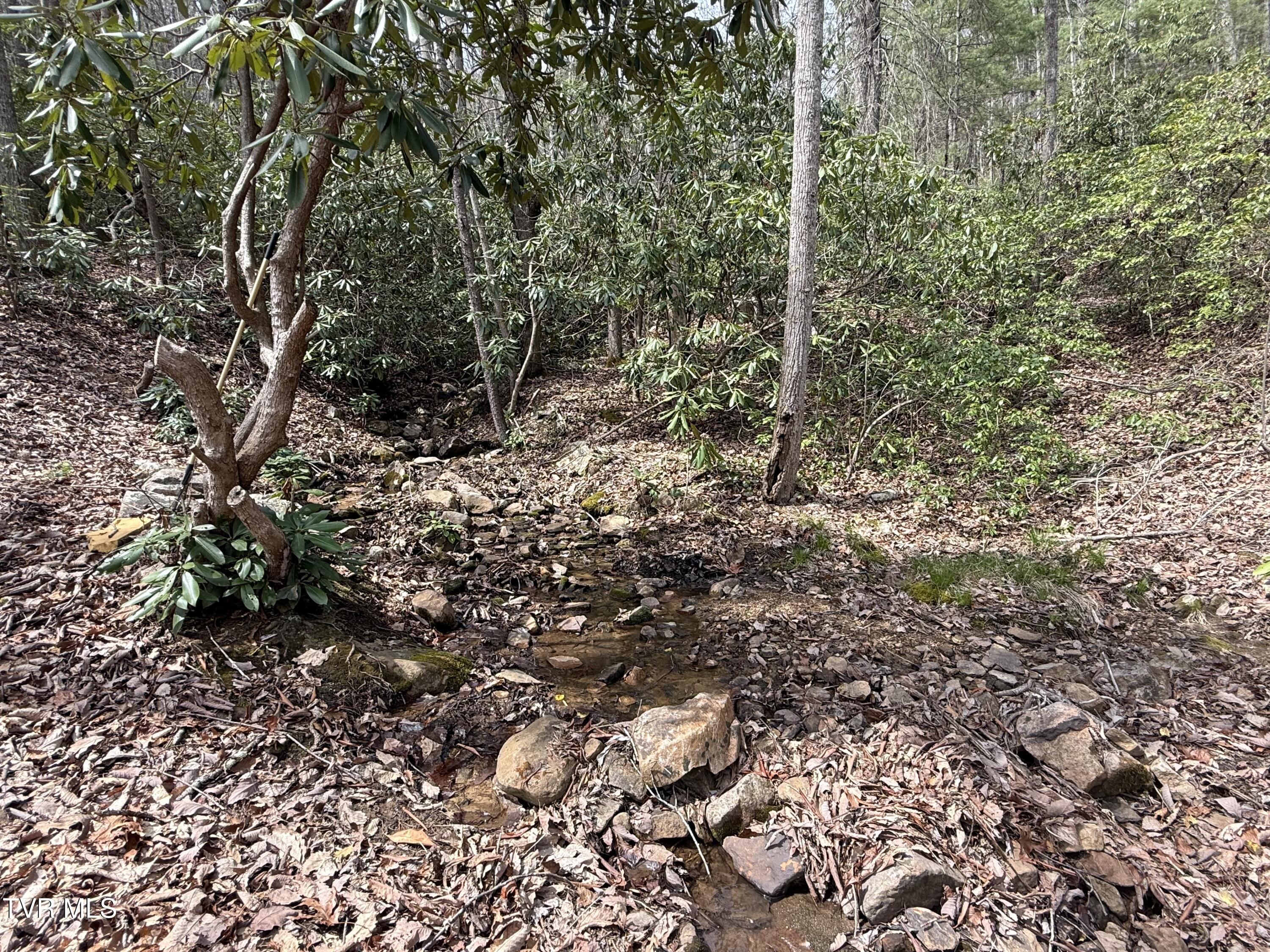 194-ac Houston Valley Road Greeneville, TN 37743 - Photo 28 of 92 IMG_029