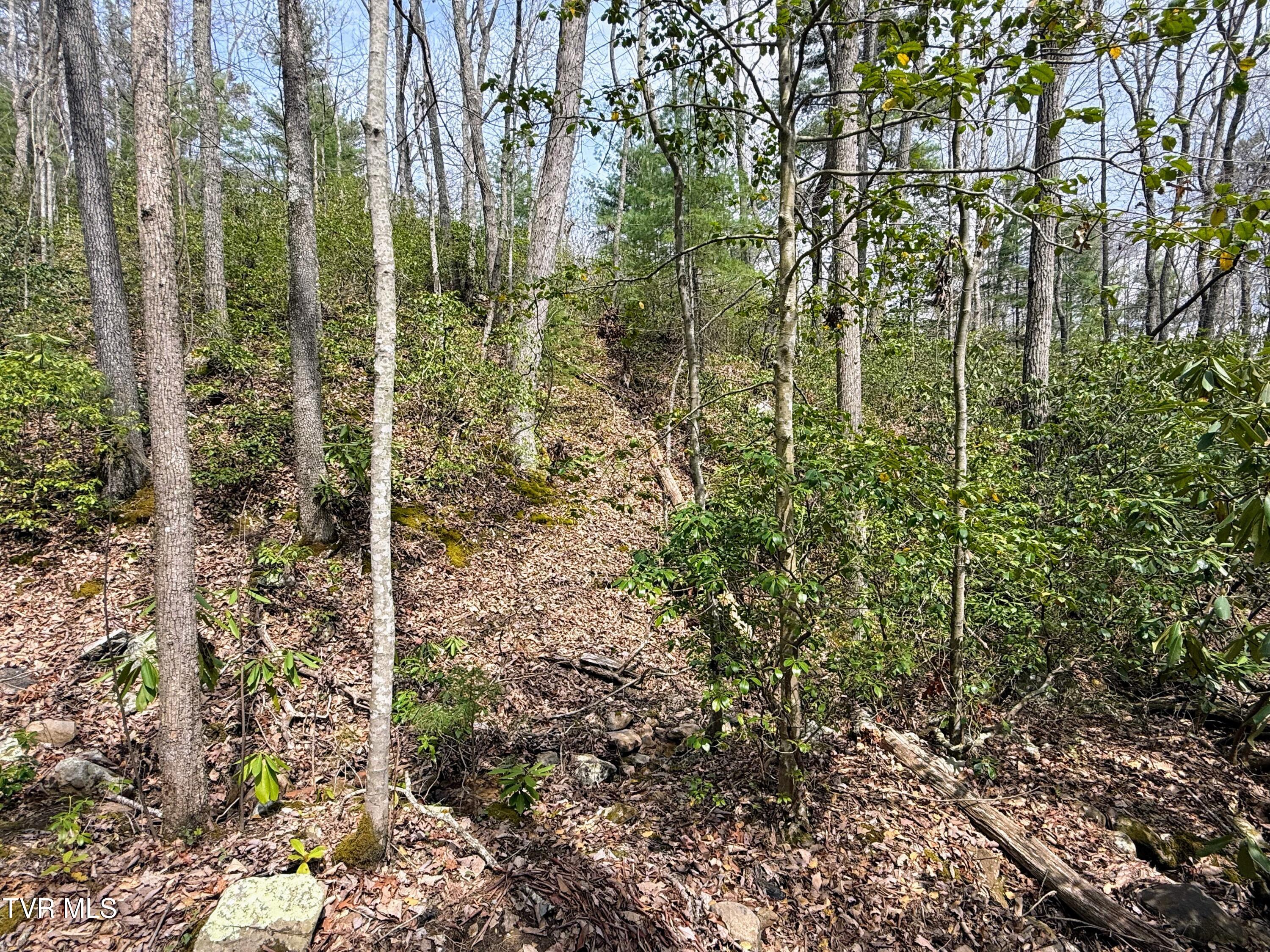 194-ac Houston Valley Road Greeneville, TN 37743 - Photo 29 of 92 IMG_030