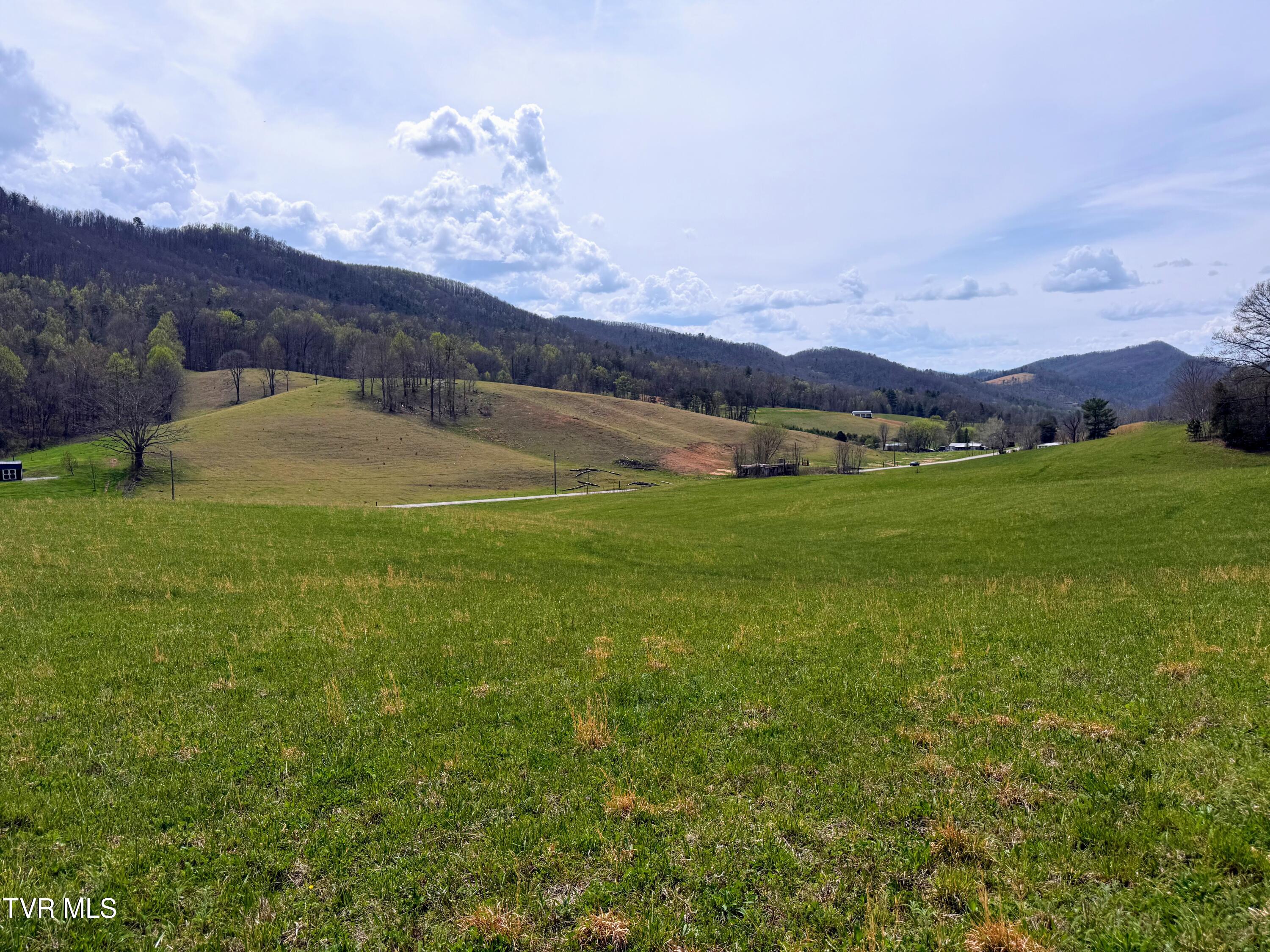 194-ac Houston Valley Road Greeneville, TN 37743 - Photo 37 of 92 IMG_039