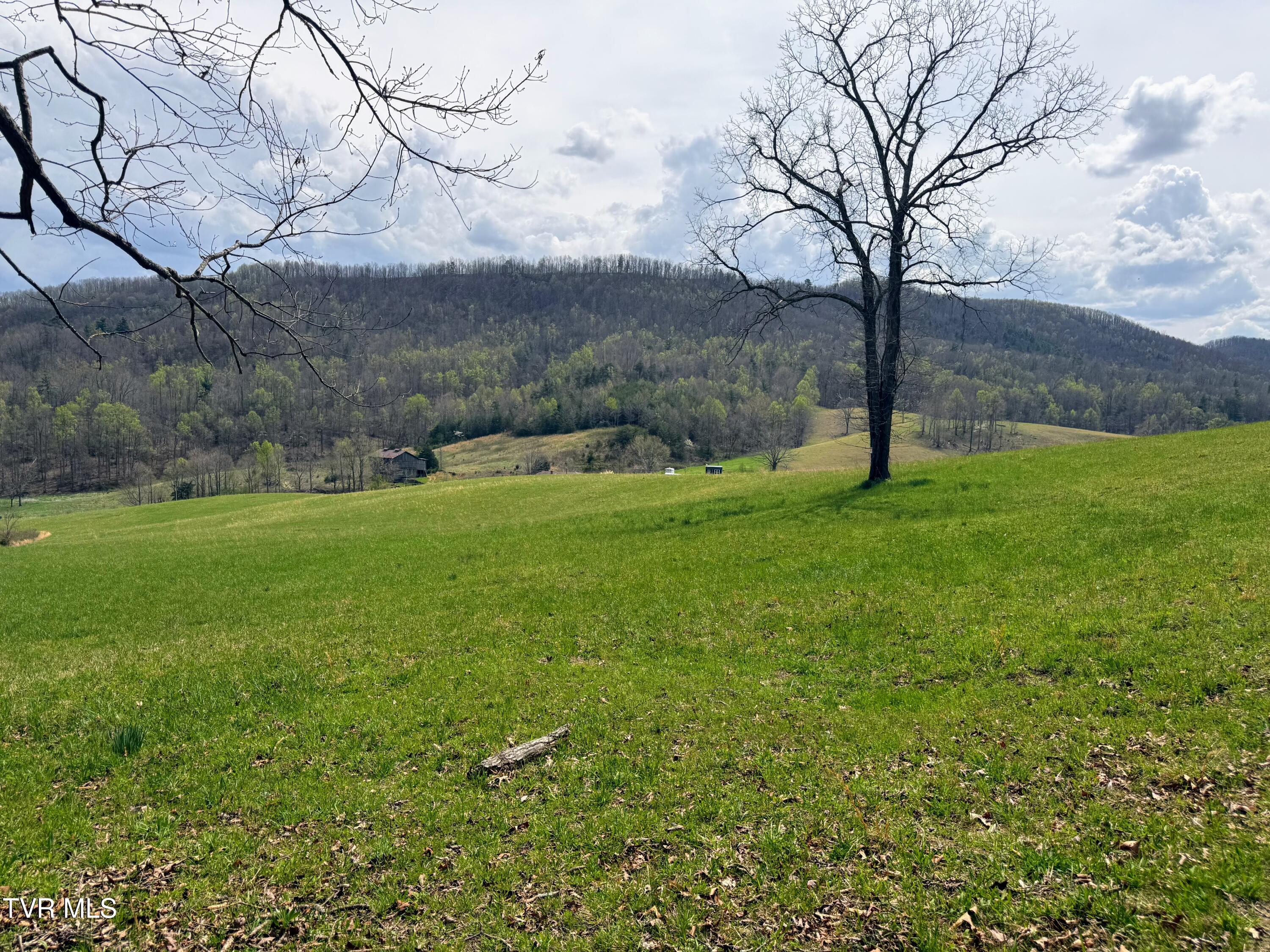 194-ac Houston Valley Road Greeneville, TN 37743 - Photo 38 of 92 IMG_040