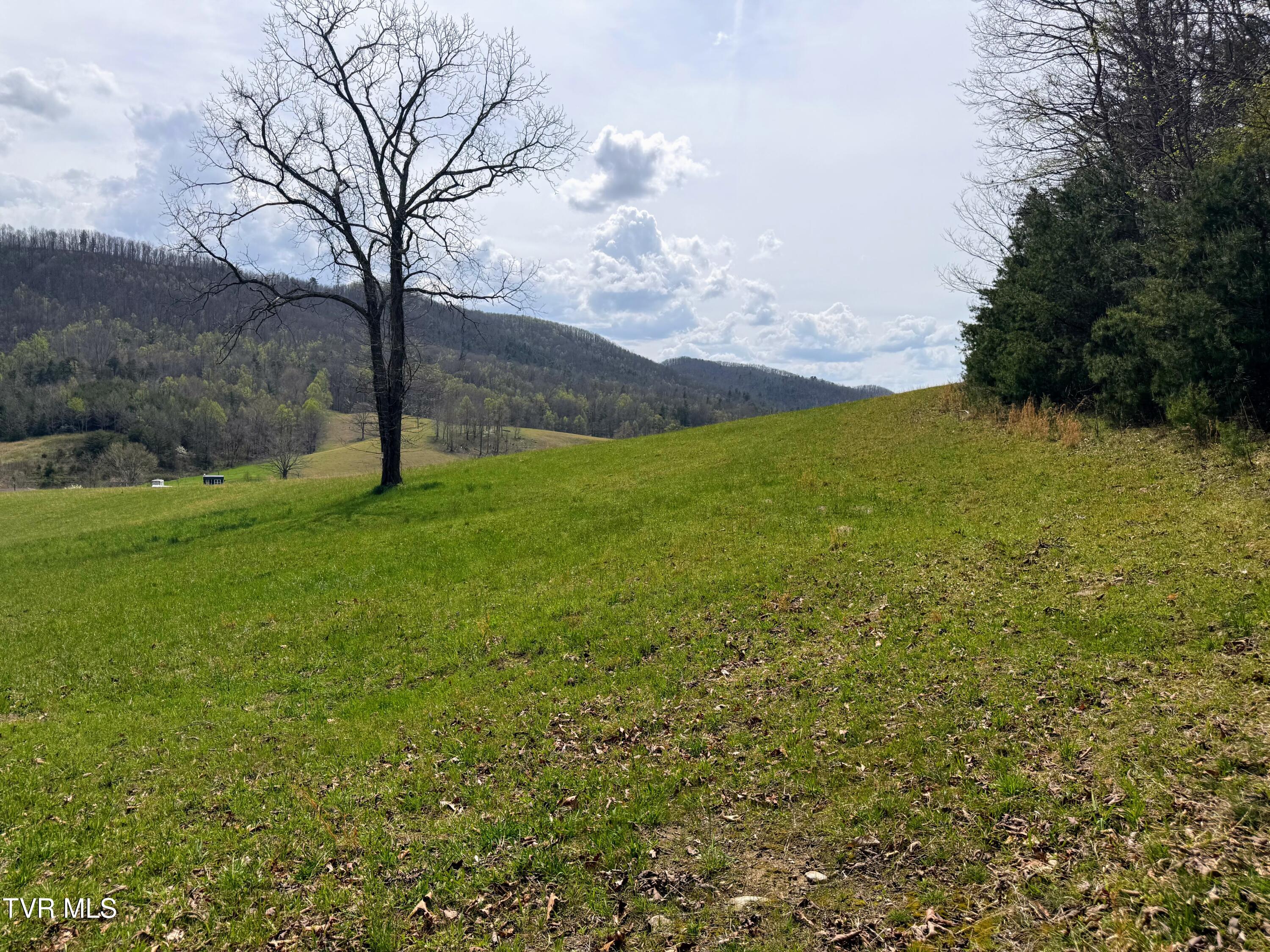 194-ac Houston Valley Road Greeneville, TN 37743 - Photo 39 of 92 IMG_041