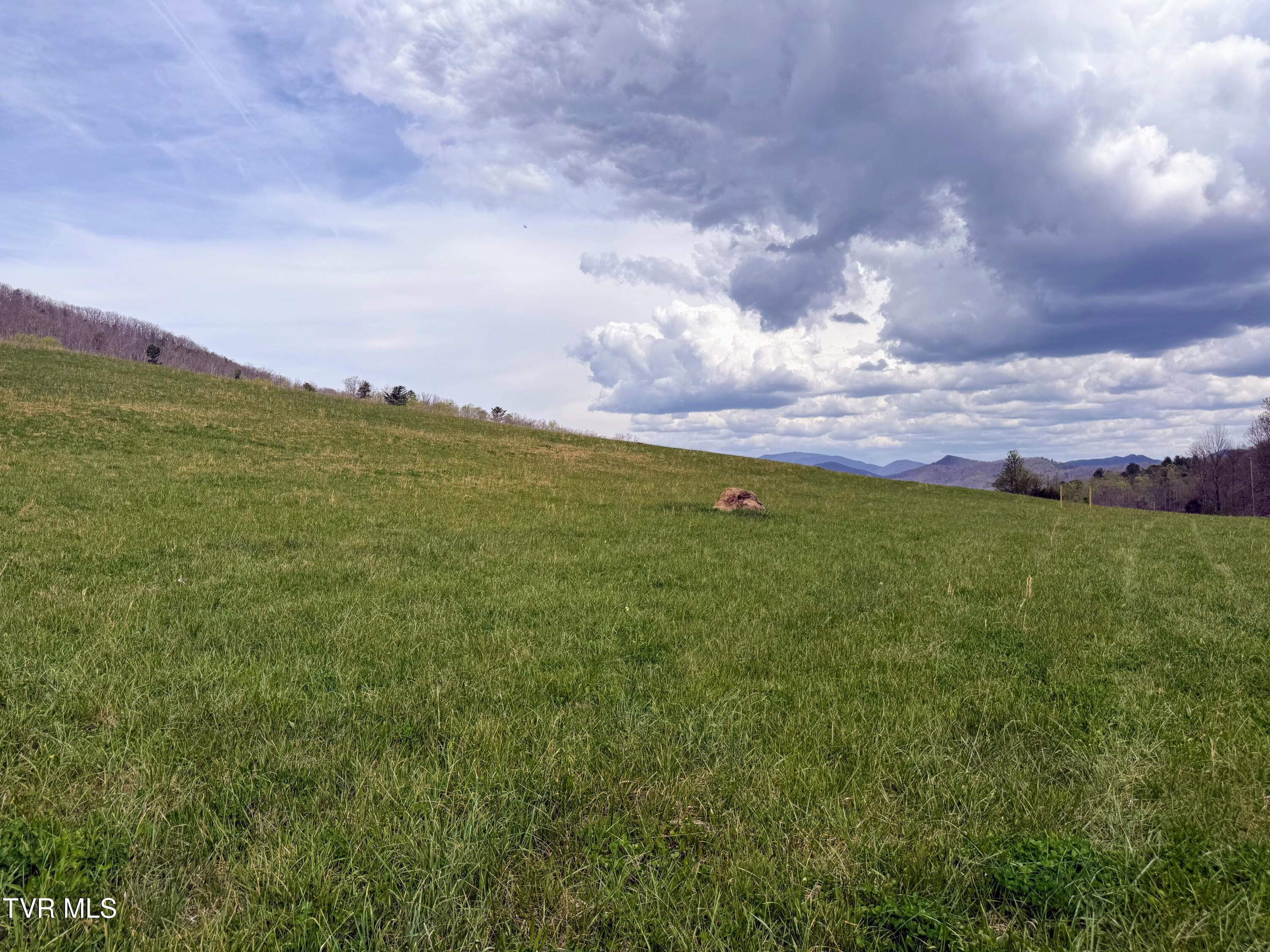 194-ac Houston Valley Road Greeneville, TN 37743 - Photo 42 of 92 IMG_044