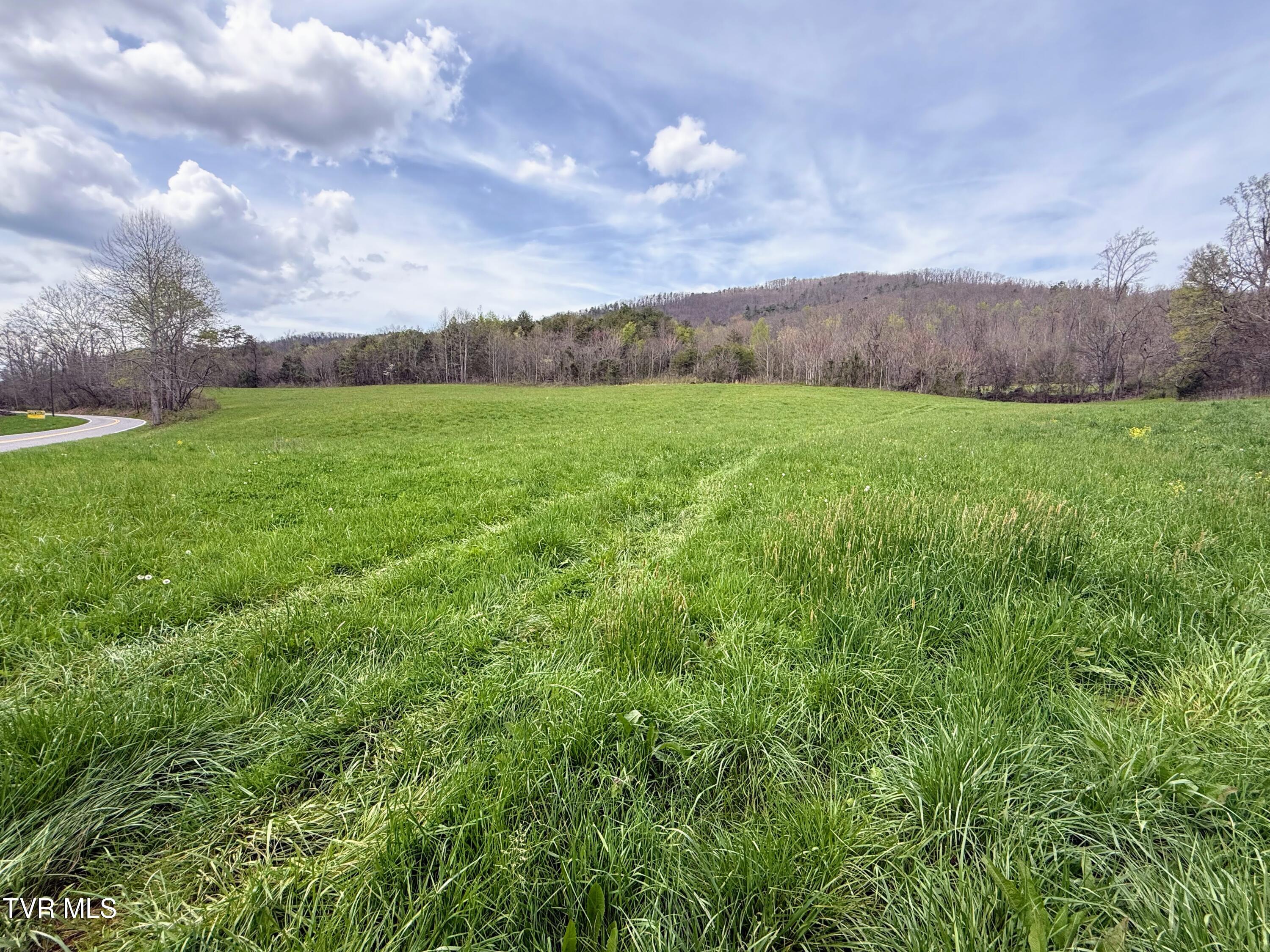 194-ac Houston Valley Road Greeneville, TN 37743 - Photo 51 of 92 IMG_053