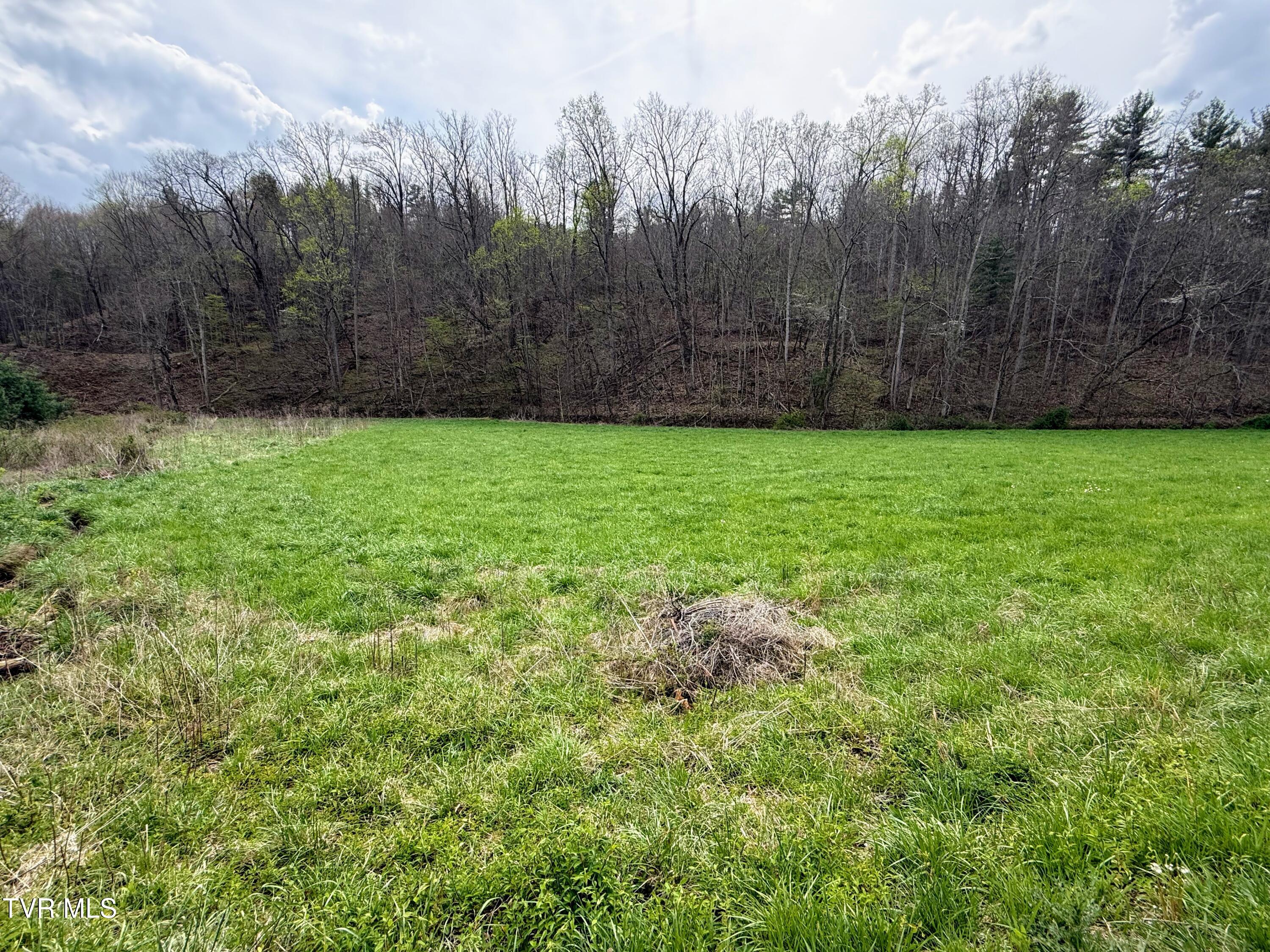 194-ac Houston Valley Road Greeneville, TN 37743 - Photo 60 of 92 IMG_065