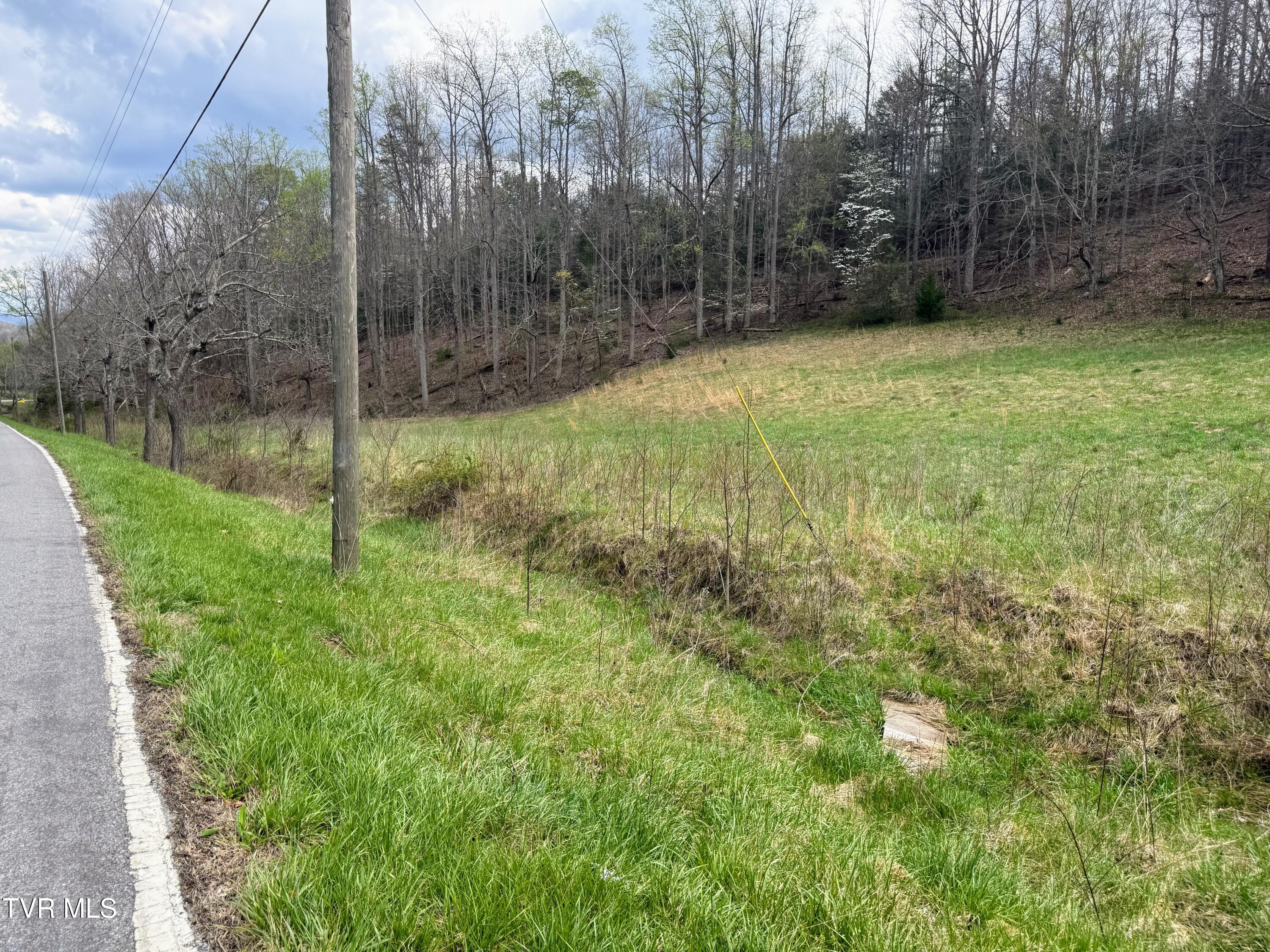 194-ac Houston Valley Road Greeneville, TN 37743 - Photo 65 of 92 IMG_070