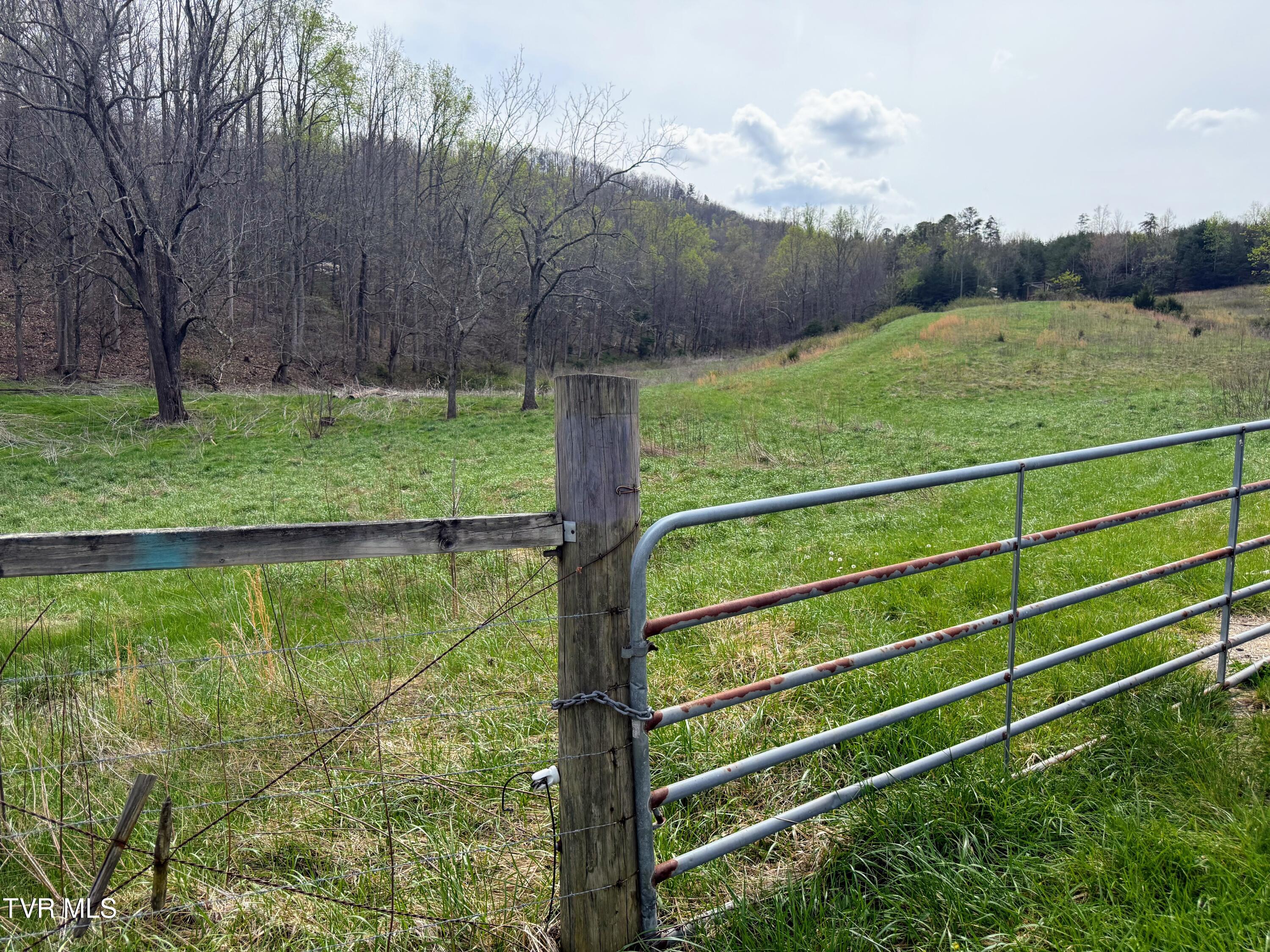 194-ac Houston Valley Road Greeneville, TN 37743 - Photo 68 of 92 IMG_074