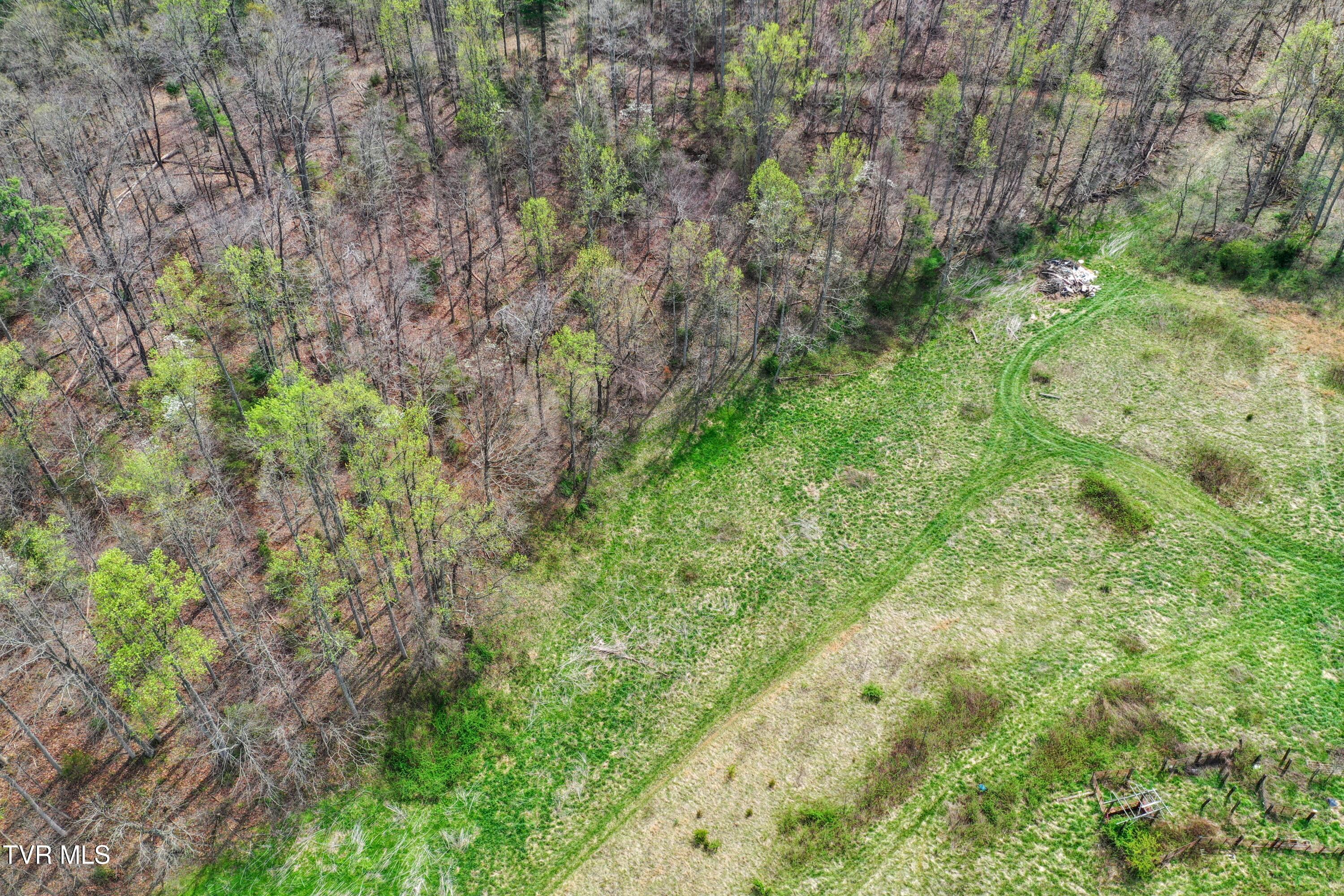 194-ac Houston Valley Road Greeneville, TN 37743 - Photo 74 of 92 IMG_081