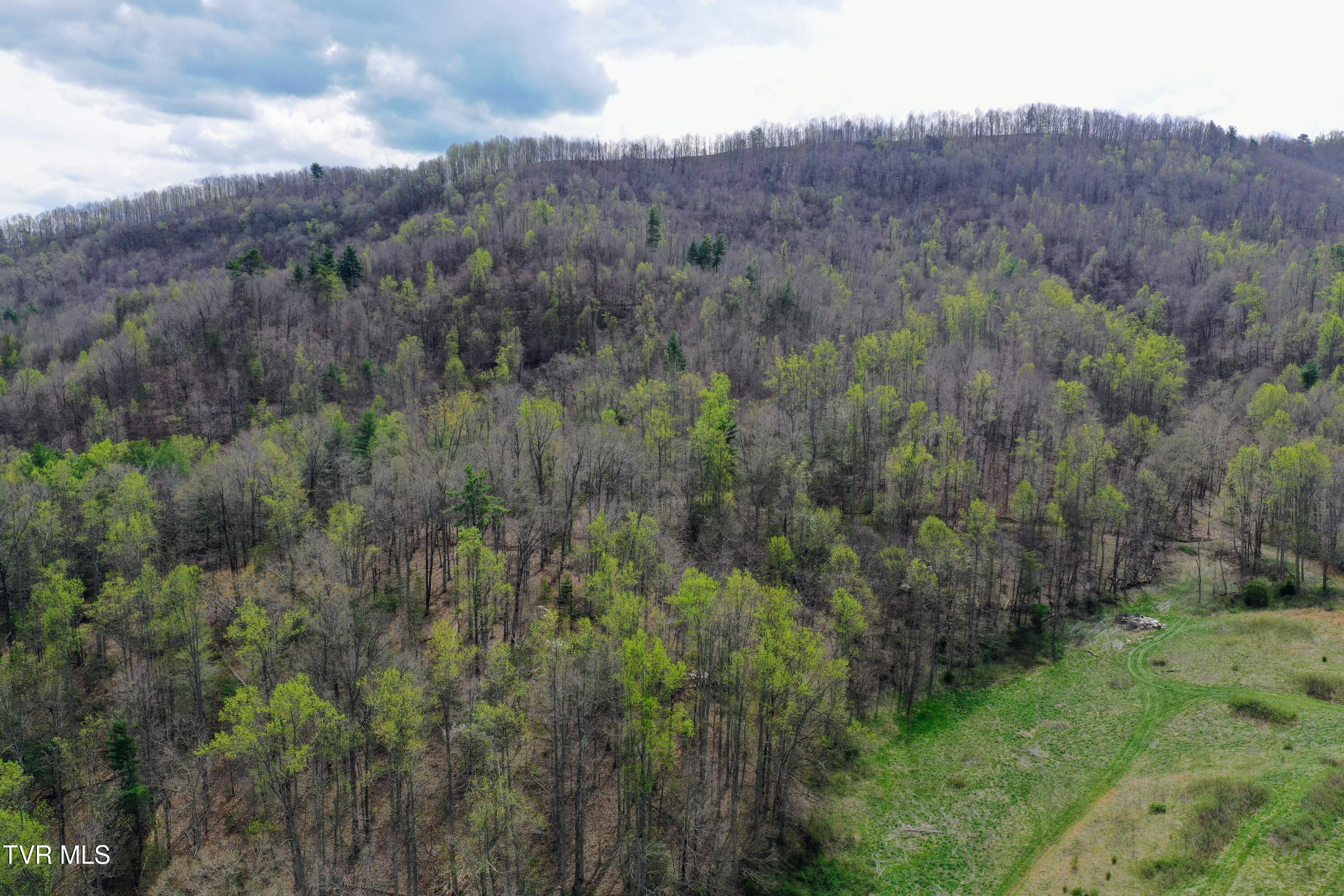 194-ac Houston Valley Road Greeneville, TN 37743 - Photo 75 of 92 IMG_082