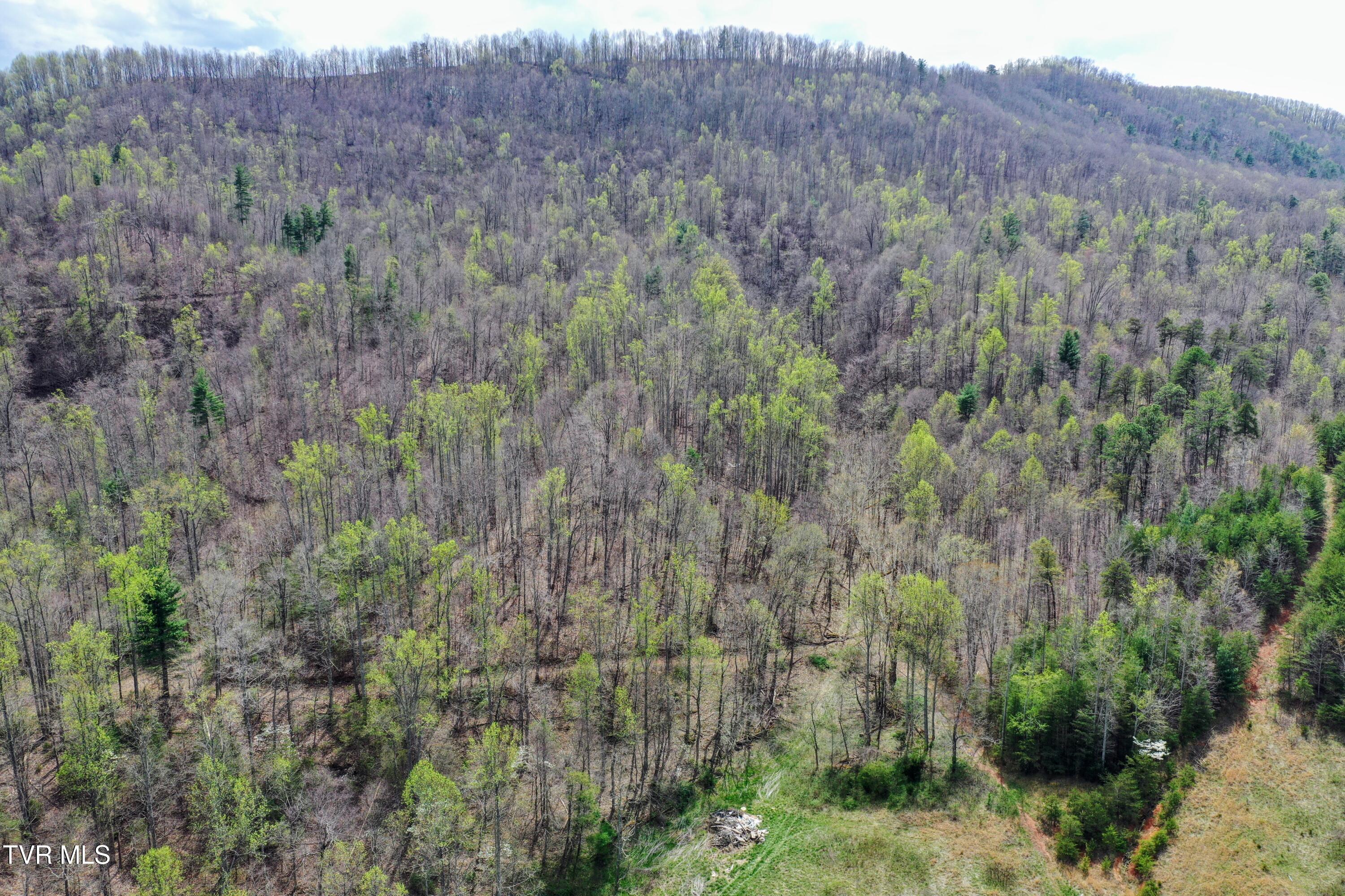 194-ac Houston Valley Road Greeneville, TN 37743 - Photo 76 of 92 IMG_083