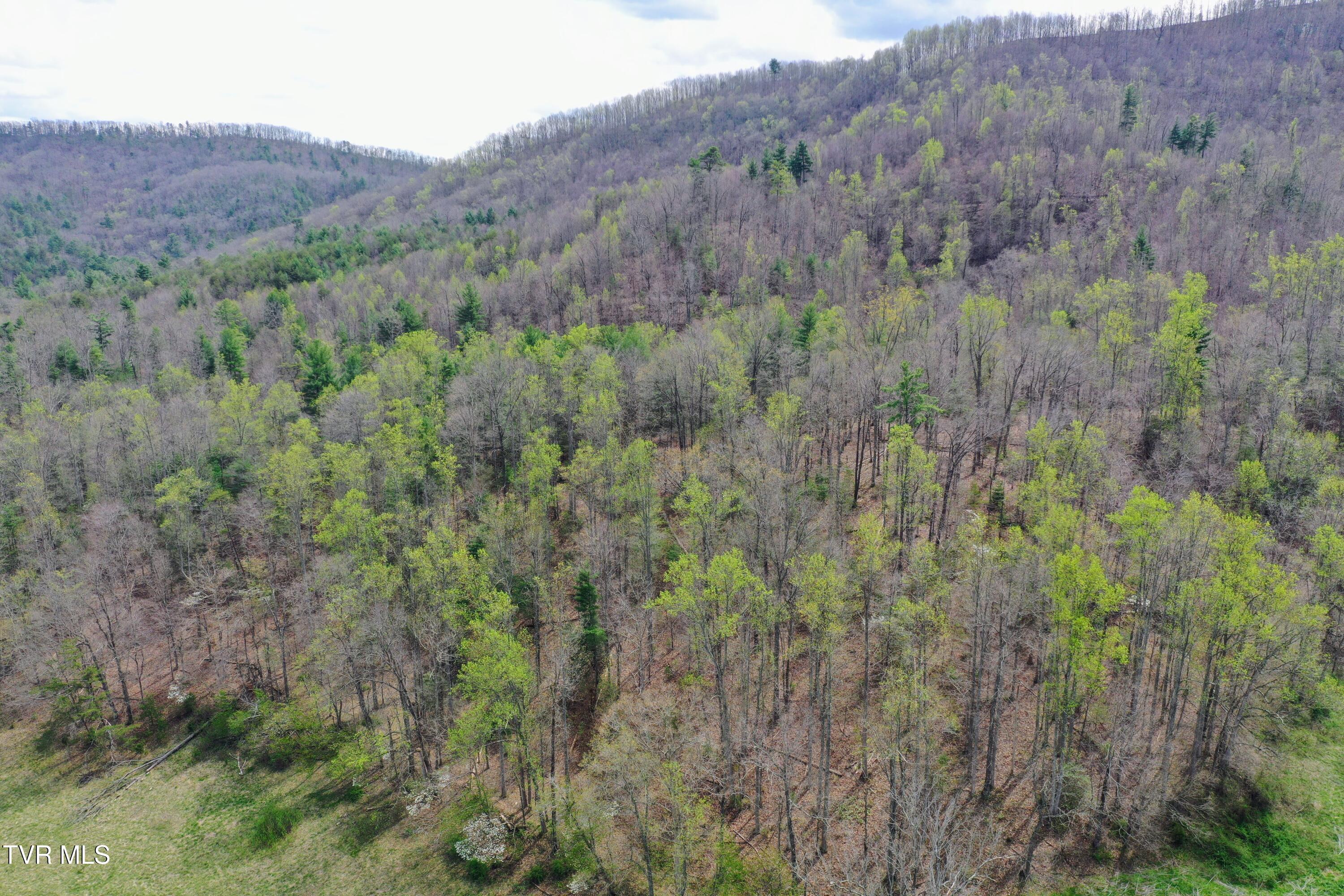 194-ac Houston Valley Road Greeneville, TN 37743 - Photo 77 of 92 IMG_084