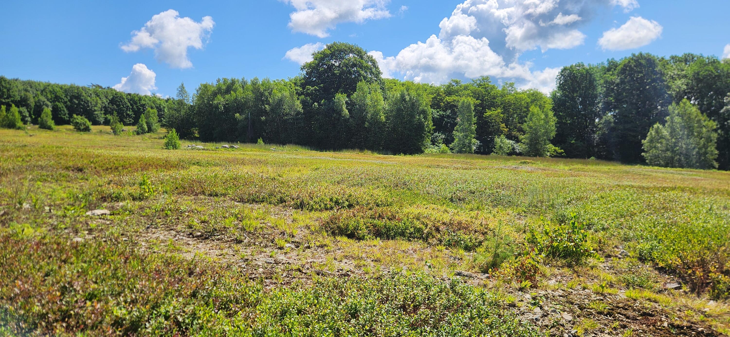 0 Upper Long Pond Road Bucksport, ME 04416 - Photo 10 of 15 20240807_111015