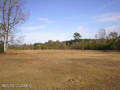 898 Roberts Road Newport, NC 28570 - Photo 2 of 4 Lot View