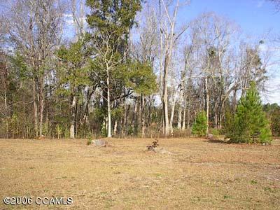 898 Roberts Road Newport, NC 28570 - Photo 3 of 4 Addtl. Lot View