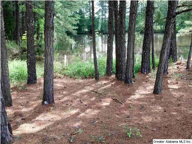 9868 Highway 431 Alexandria, AL 36250 - Photo 4 of 28