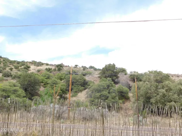 a view of a yard with car parked