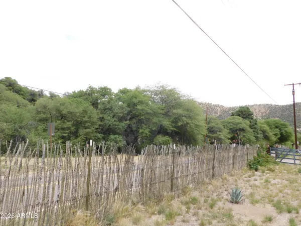 a view of yard with trees