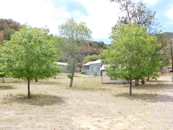 a backyard of house with large tree