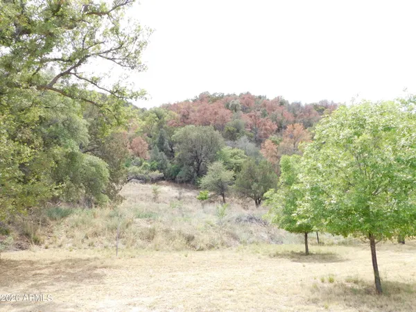 a view of a out door of the house