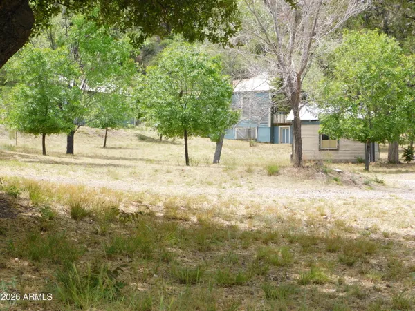 a view of a forest with a street