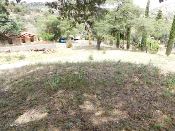 a view of a forest with a street
