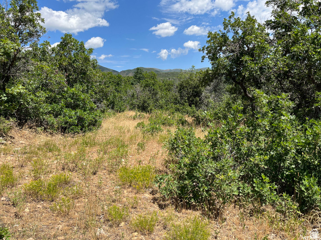 St, Unit 41 Springville, UT 84663 - Photo 3 of 12 View of woods featuring a mountain view
