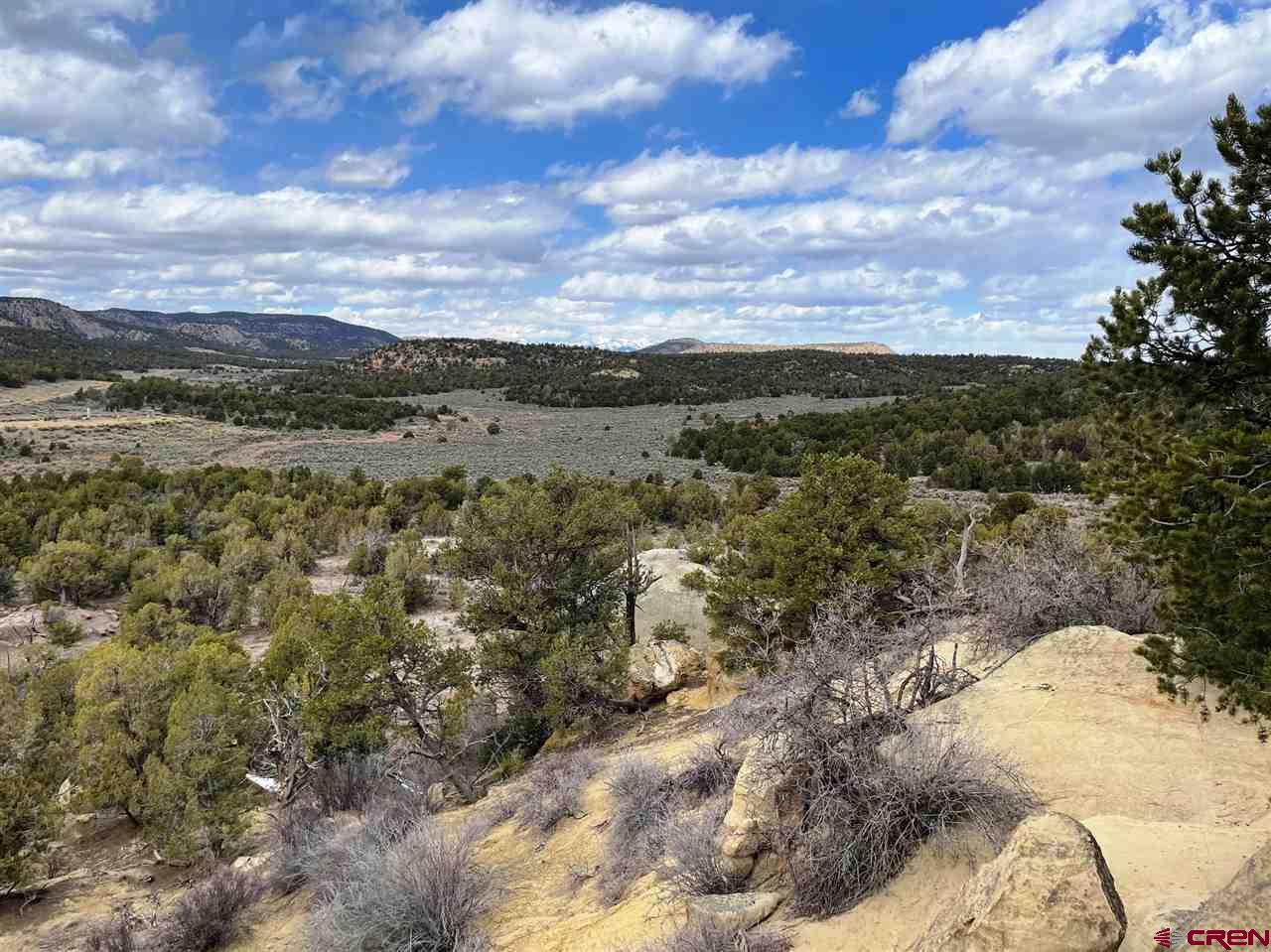 Tbd Tbd Cox Canyon Road Durango, CO 81303 - Photo 1 of 31 Gallery Image 1