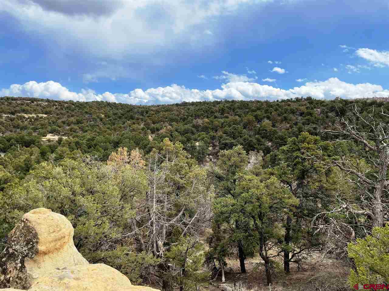 Tbd Tbd Cox Canyon Road Durango, CO 81303 - Photo 2 of 31 Gallery Image 2