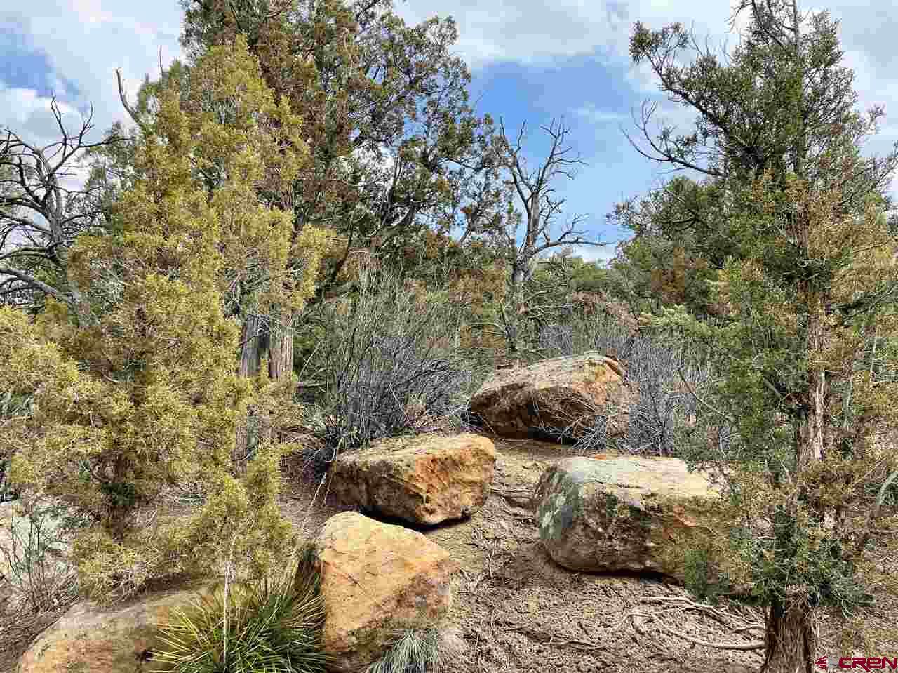 Tbd Tbd Cox Canyon Road Durango, CO 81303 - Photo 12 of 31 Gallery Image 12