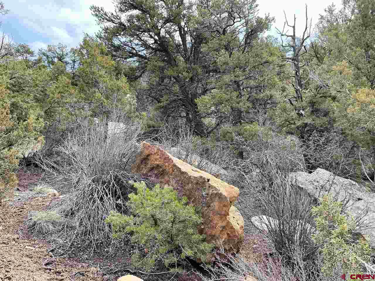 Tbd Tbd Cox Canyon Road Durango, CO 81303 - Photo 13 of 31 Gallery Image 13