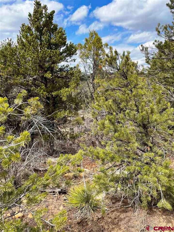 Tbd Tbd Cox Canyon Road Durango, CO 81303 - Photo 14 of 31 Gallery Image 14