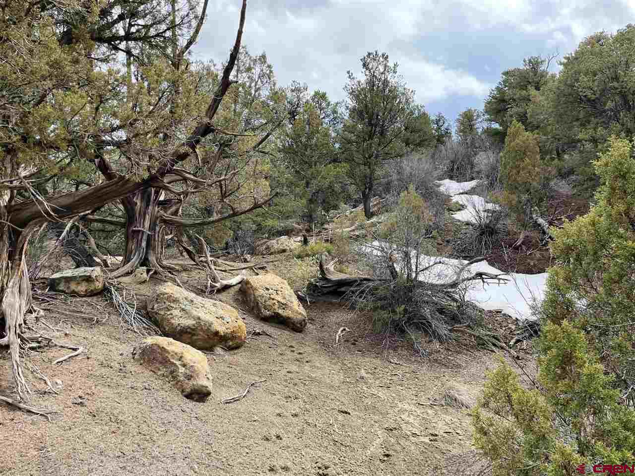 Tbd Tbd Cox Canyon Road Durango, CO 81303 - Photo 15 of 31 Gallery Image 15